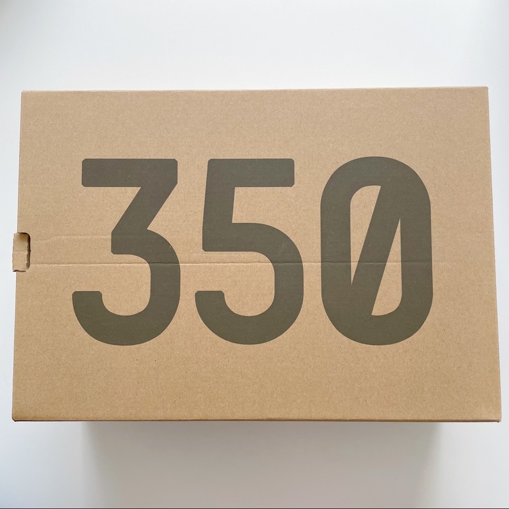 Adidas • Yeezy Boost 350 V2 Clay Sneakers - Picture 11 of 12